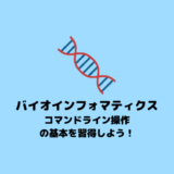 【バイオインフォマティクス】コマンドライン操作の基本【RNA-seq】