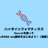 【scRNA-seq】Seuratを用いてscRNA-seq解析を始める方法（前編）【Seurat】