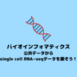 【scRNA-seq】single cell RNA-seqデータを公共データから探す方法【バイオインフォマティクス】