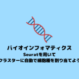 【バイオインフォマティクス】Seuratを用いて各クラスターに自動で細胞種を割り当てる【scRNA-seq】