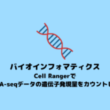 【バイオインフォマティクス】Cell Rangerを使ってscRNA-seqデータの遺伝子発現量をカウントする【scRNA-seq】