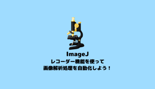 【ImageJ】レコーダー（マクロ）の使い方【画像解析】