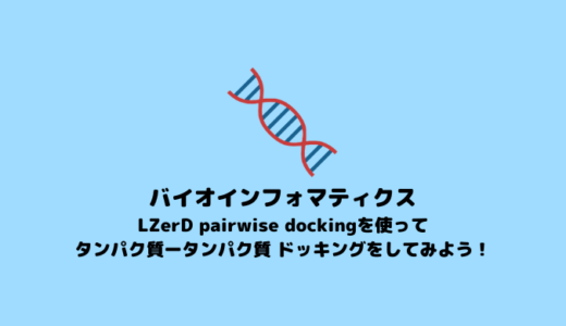 【分子ドッキング】 LZerD pairwise dockingを使ったタンパク質-タンパク質ドッキング【in silico創薬】