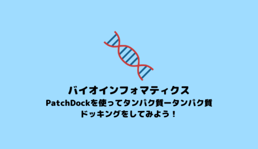 【分子ドッキング】PatchDockを使ったタンパク質-タンパク質ドッキング【in silico創薬】