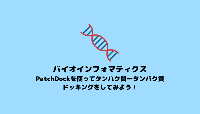 分子ドッキング】 PatchDockを使ったタンパク質-タンパク質ドッキング【in silico創薬】