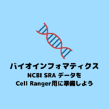 【Cell Ranger】NCBI SRA データをCell Ranger用に準備する方法【scRNA-seq】