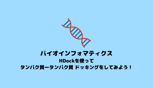 【分子ドッキング】 HDockを使ったタンパク質-タンパク質ドッキング【in silico創薬】