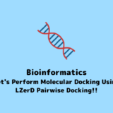 Bioinformatics Let's Perform Molecular Docking Using LZerD Pairwise Docking!!