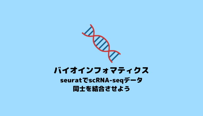 【scRNA-seq】scRNA-seqデータセットを結合する方法【Seurat】
