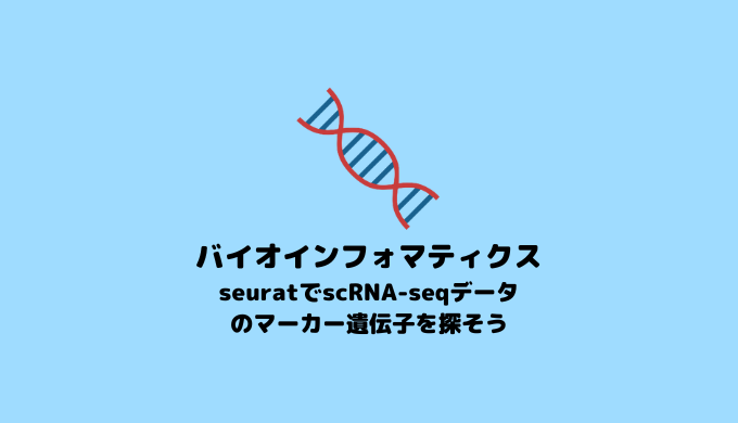 【scRNA-seq】SeuratでscRNA-seqデータのマーカー遺伝子を特定する方法【Seurat】