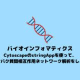 【ネットワーク解析】CytoscapeのstringAppを使って、タンパク質間相互作用ネットワーク解析を行う【Cytoscape】