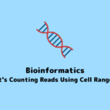 【Bioinformatics】Counting Gene Expression Levels in scRNA-seq Data Using Cell Ranger【scRNA-seq】