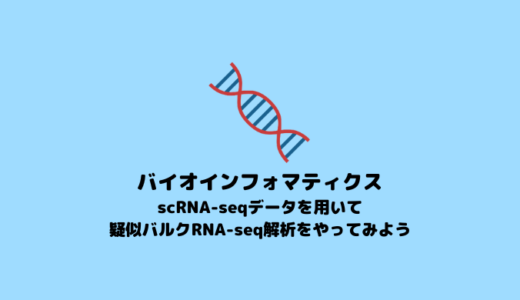 【シングルセル】Single Cell RNA-seqデータを用いた疑似バルクRNA-seq解析を行う方法【pseudo bulk analysis】