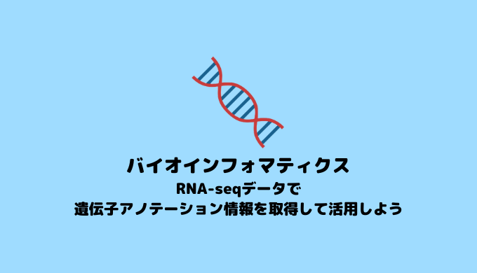 【RNA-seq】遺伝子アノテーション情報の取得と活用方法【バイオインフォマティクス】